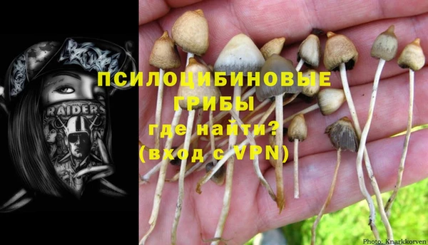 мдпв Наволоки