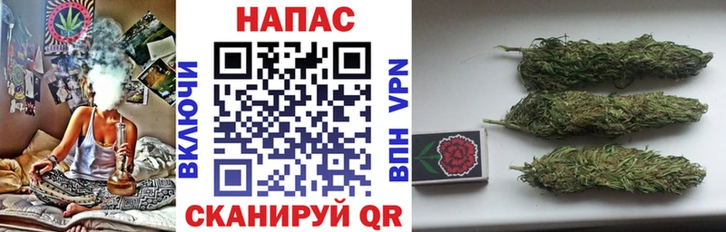 Шишки марихуана ГИДРОПОН  Купить  Сасово 